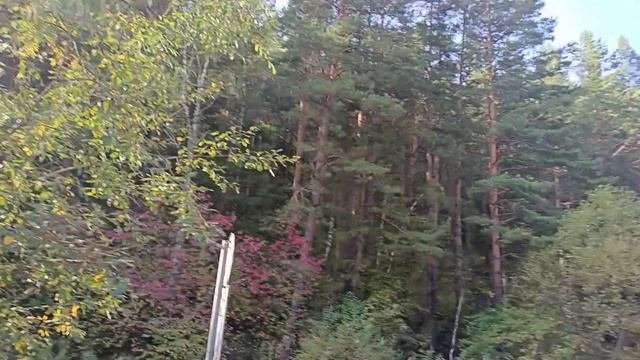 ДЕНЬ РОЖДЕНИЯ МИЛКИ!!! 
НАШ ДЕНЬ 