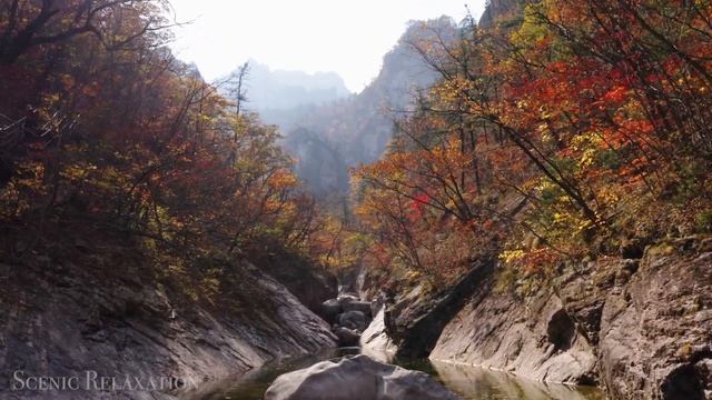 Южная Корея