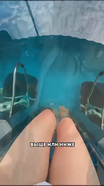 0bdd8e66-2dd4-4fa0-9bb1-11d1e93b8da5