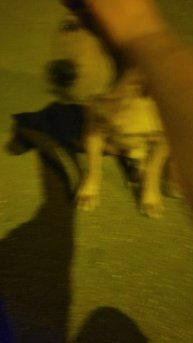 Какие же всё-таки они замечательные!