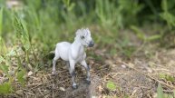 Фотки лошадей schleich часть 1