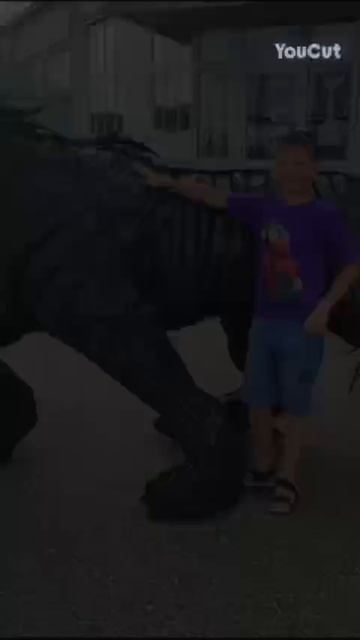 Я люблю монтировать видео.