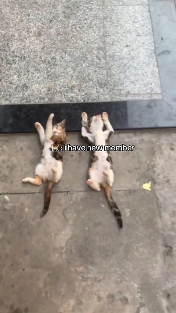 Мы с бро на отдыхе