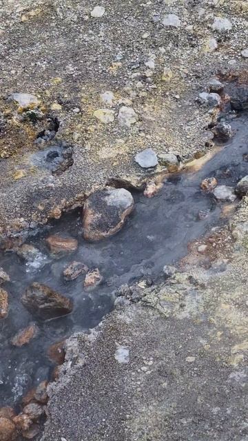 Вместо тысячи слов о прошедшем туре на Камчатке - видео от нашей прекрасной участницы Виктории ❤️