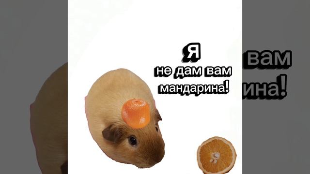 фантик не даст вам мандарина ﹥:)