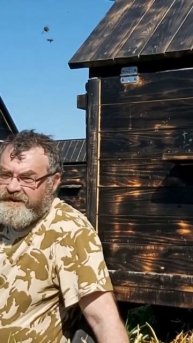 Почему ленивая пасека этична и безопасна #short  #shots #пчеловодстводляначинающих   #мед
