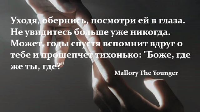 The Ambientalist - The Road Not Taken