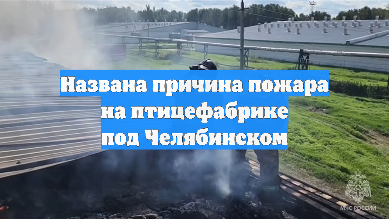Названа причина пожара на птицефабрике под Челябинском