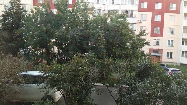 1000003594.mp4