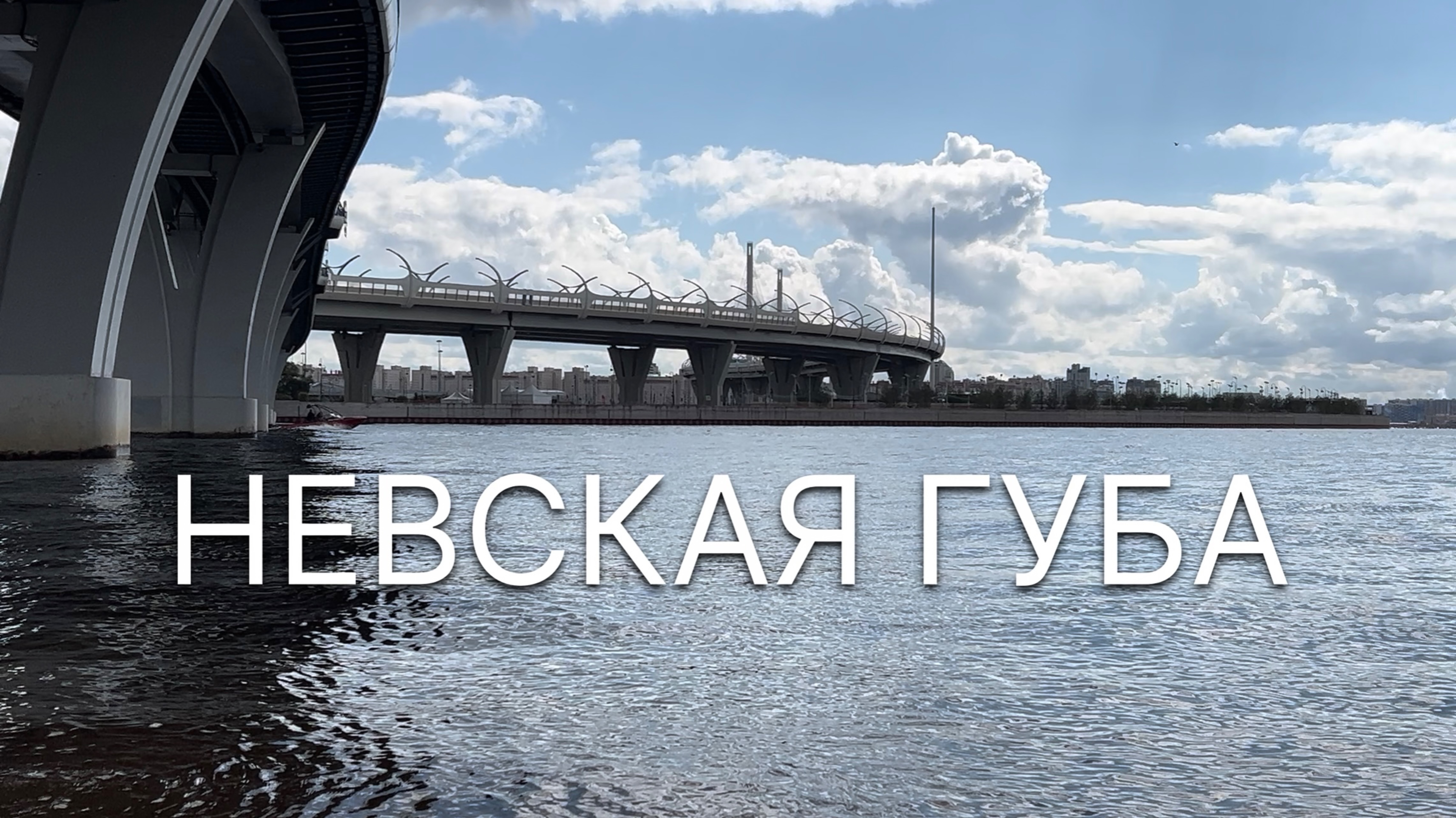 Невская губа