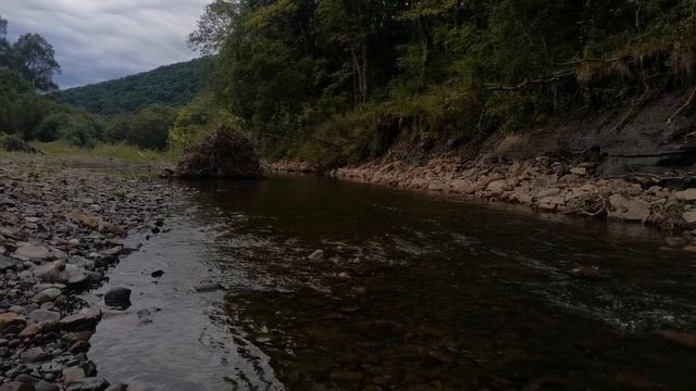 Река Приморский край (август 2025)