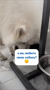 copy_84C0FA39-B122-4A9F-8BCD-106E366F3DE7