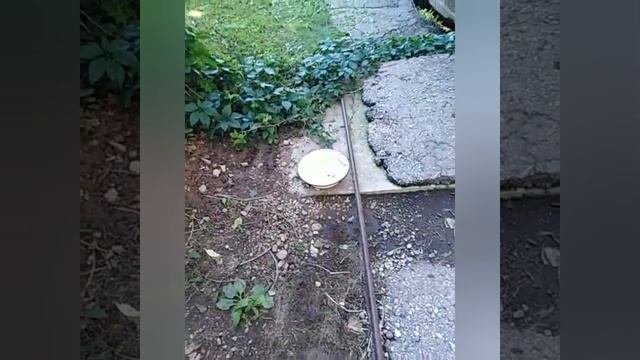 Отдых Надюшки в санатории