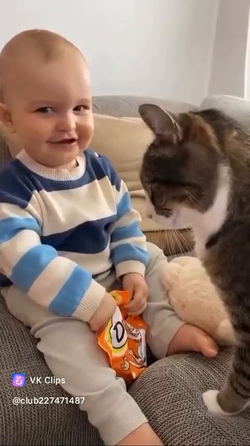 VID_20250825_162502_838.mp4