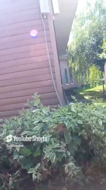 Дино-парк (парк Сказка).mp4