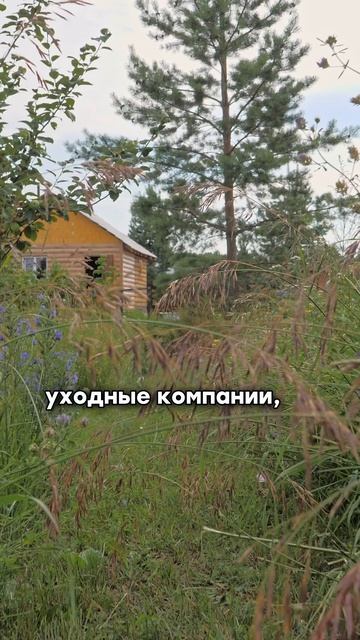Насладитесь отдыхом на природе в саду!