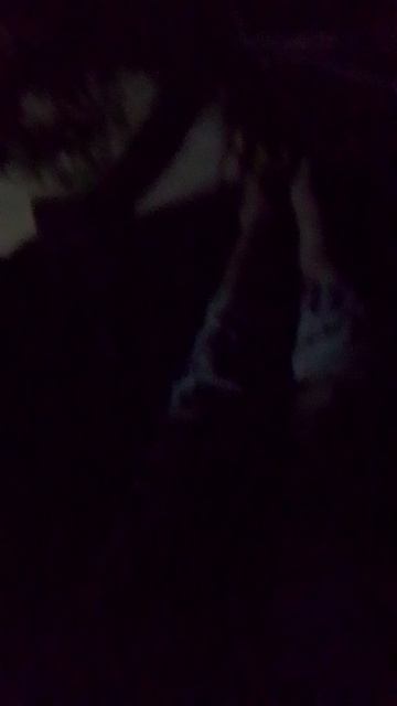 VID_20250825_042615.mp4