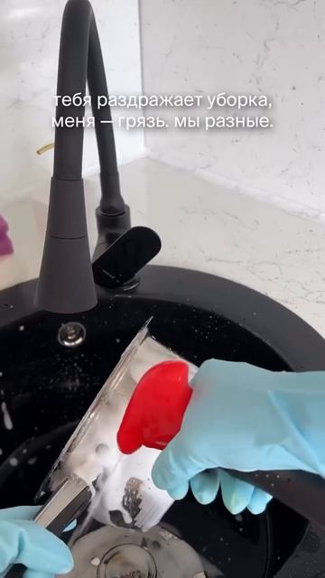 Мы разные, я знаю, как быстро отмыть раковину из интерьерного камня #рек #уборка #cleaning #юмор