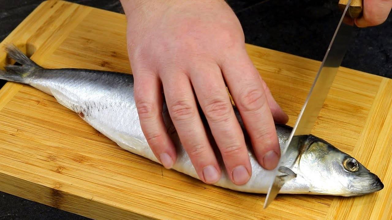 Самая обычная СЕЛЕДКА! А закуску сметут ПЕРВОЙ со стола! Это просто класс!