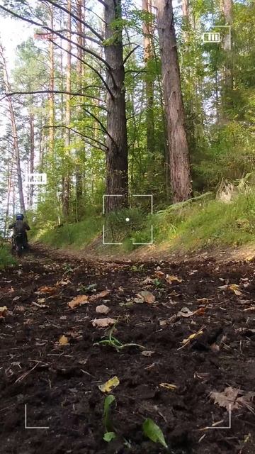 Покатушка с другом в лесу.