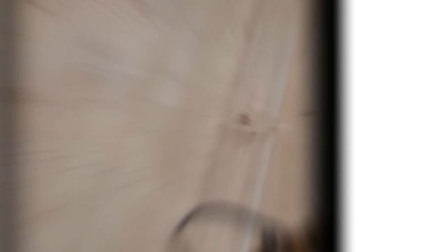 1000032917.mp4 (Собака наблюдает за проверкой плоскости каркаса в ванной комнате дома А-фрейм)