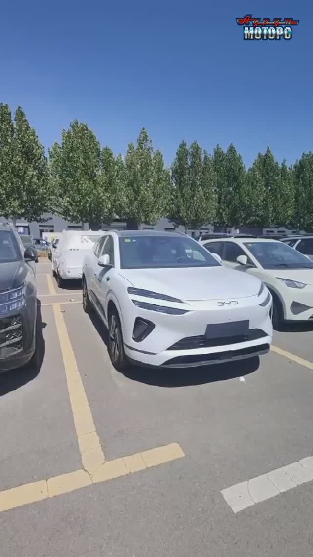 BYD Sea Lion 06 DM-i - для Клиентов из Югры!