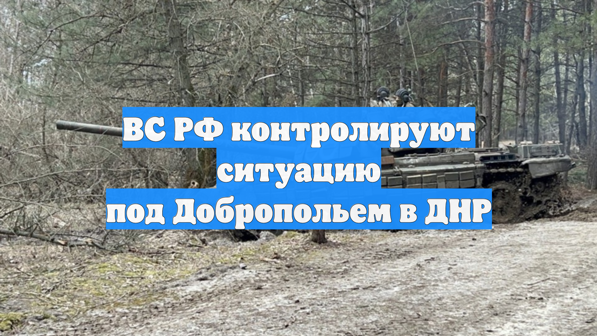 ВС РФ контролируют ситуацию под Добропольем в ДНР