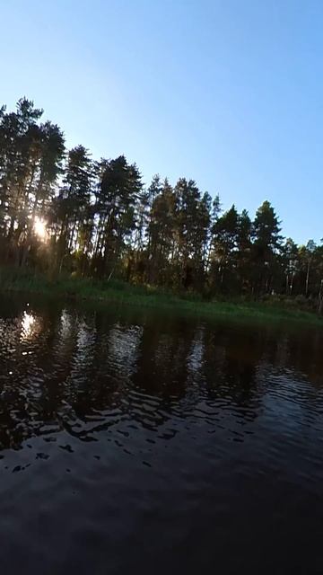 Сапборд с мотором