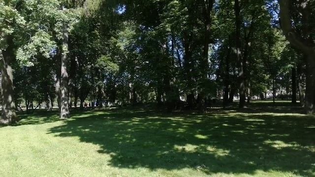 Михайловский парк. Санкт-Петербург.