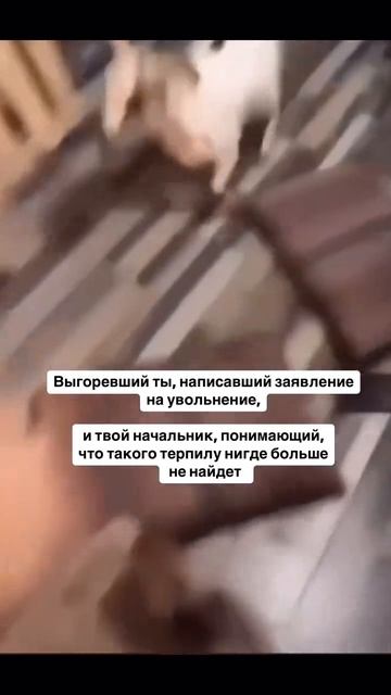 2025_03_11_08_10_IMG_0232