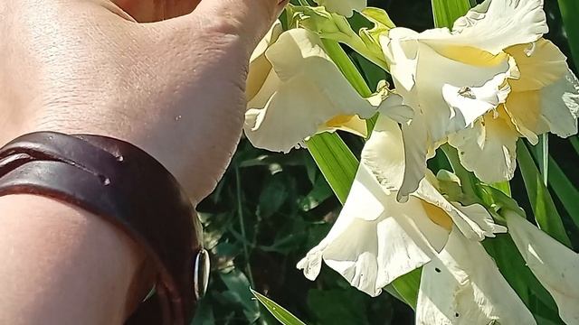 Вязание предпоследней недели августа, ароматная шерсть и трофей леса #вязовлог #knitting #handmade