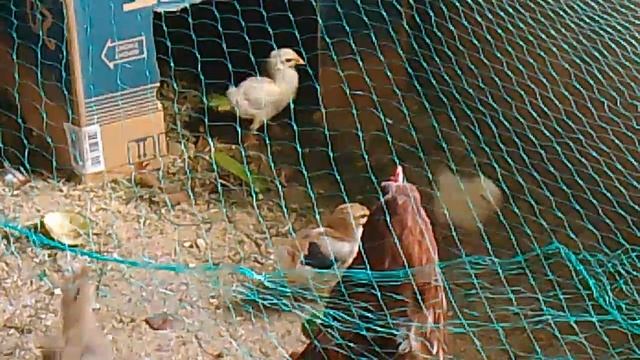 смотри отнимут