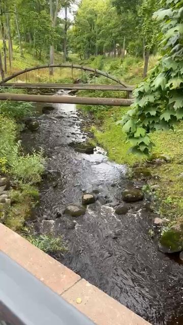 В парке. Санкт-Петербург