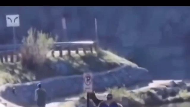 прогулка , пробежка #shorts