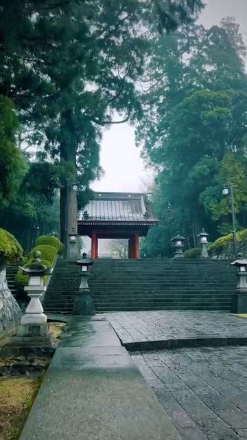 VID_20250825_185719_102.mp4