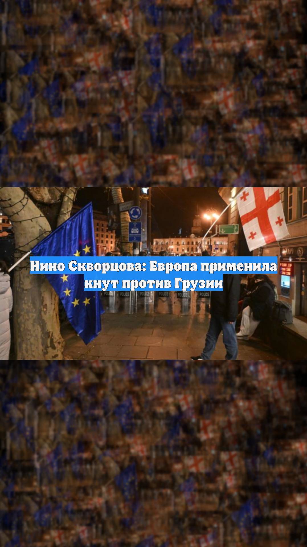 Нино Скворцова: Европа применила кнут против Грузии