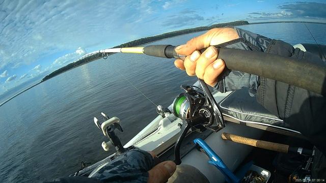 Судак поклевка.