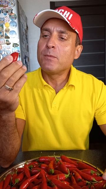 Перец! 22.08.25