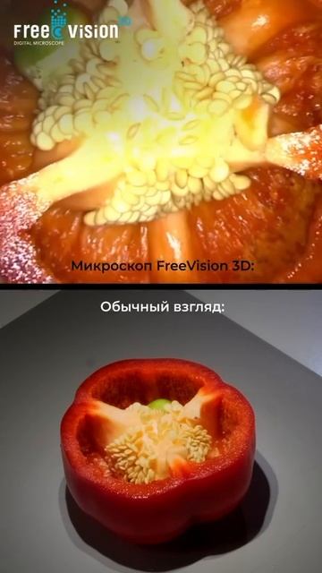 Почему микроскоп Freevision 3D