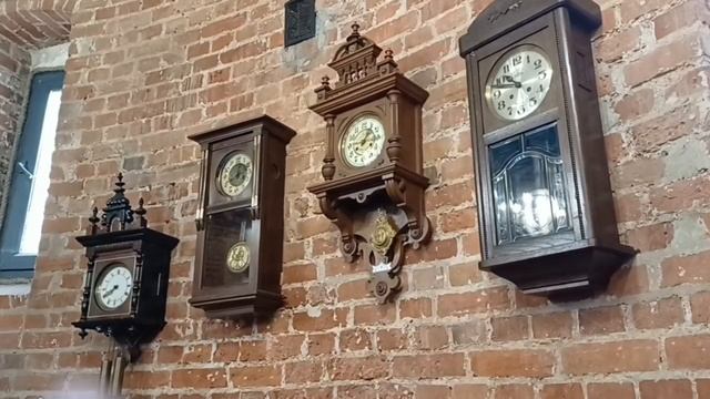 Ксения Алфёрова | ТОЧКА.РФ – МЕСТО | г. Калининград