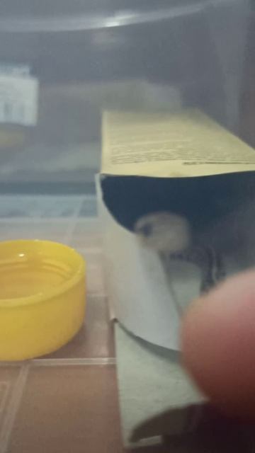 Позитивчик от малыша маисового полоза.