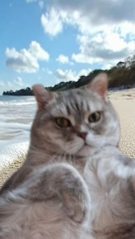 чилю на море 🩵