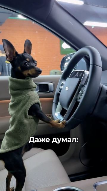 🐶 Пушистый директор EcoCarRus о LiXiang
