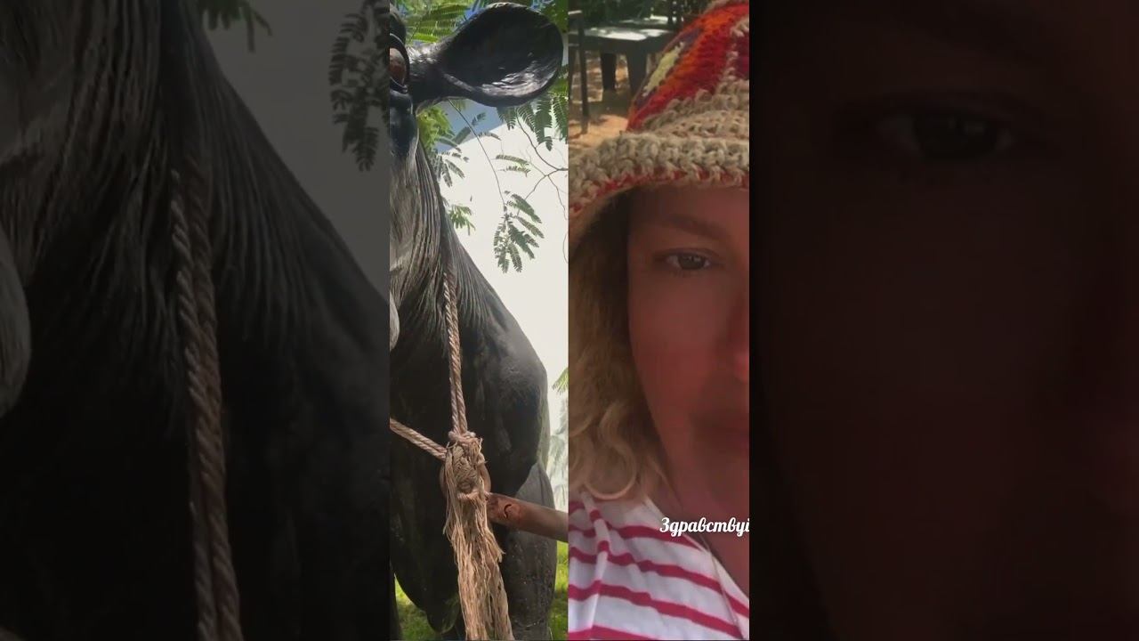 #лифтингмосква #интервью #кино #юмор #саморазвитие #психология #татьяналексус