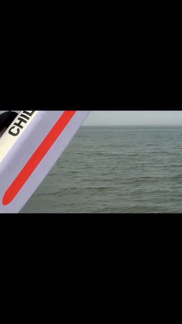 не упусти лето 🤞🏼❤️🐶