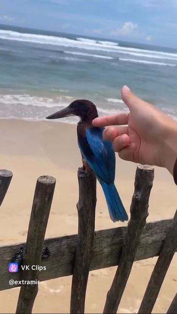 VID_20250825_162733_651.mp4