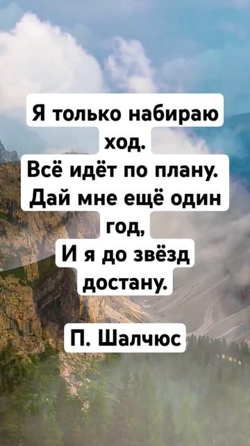 П.Шалчюс #стихи #поэтично #поэзия #стихиожизни #поэтическийклуб #стих