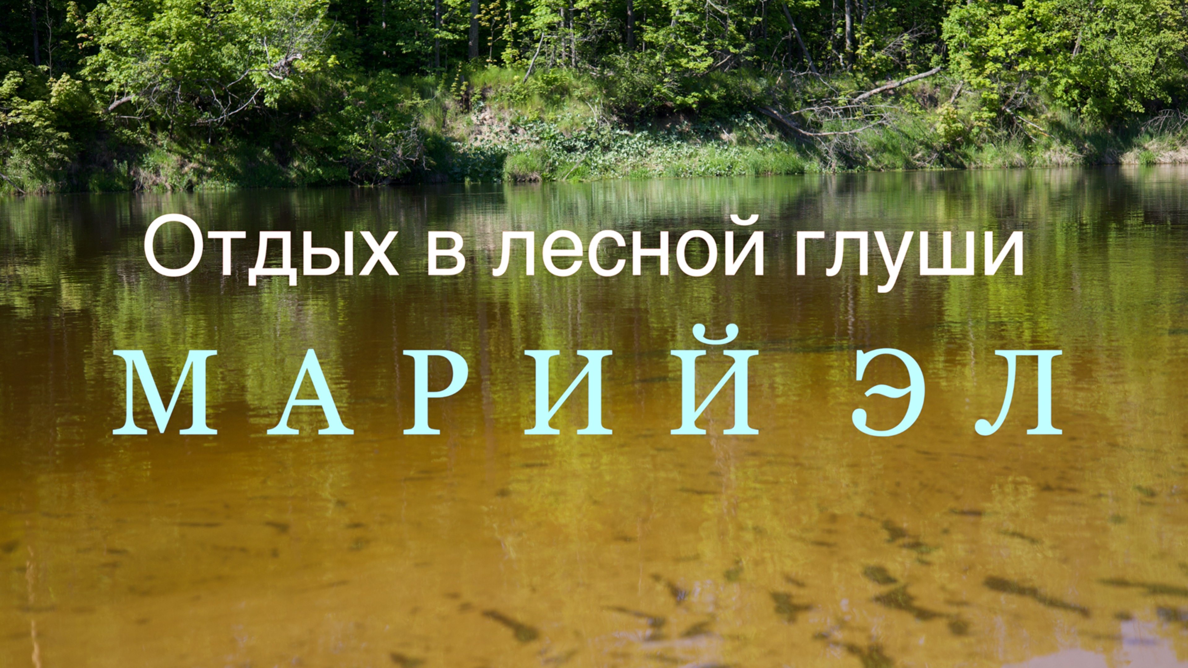 Отдых в лесной глуши Марий Эл