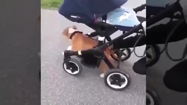 Фсё, усталь, поехали😁! ))