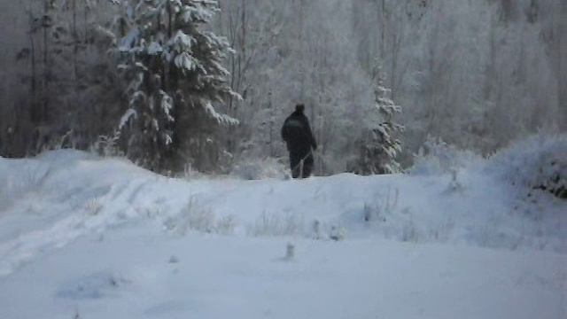 Замечательные лыжи
